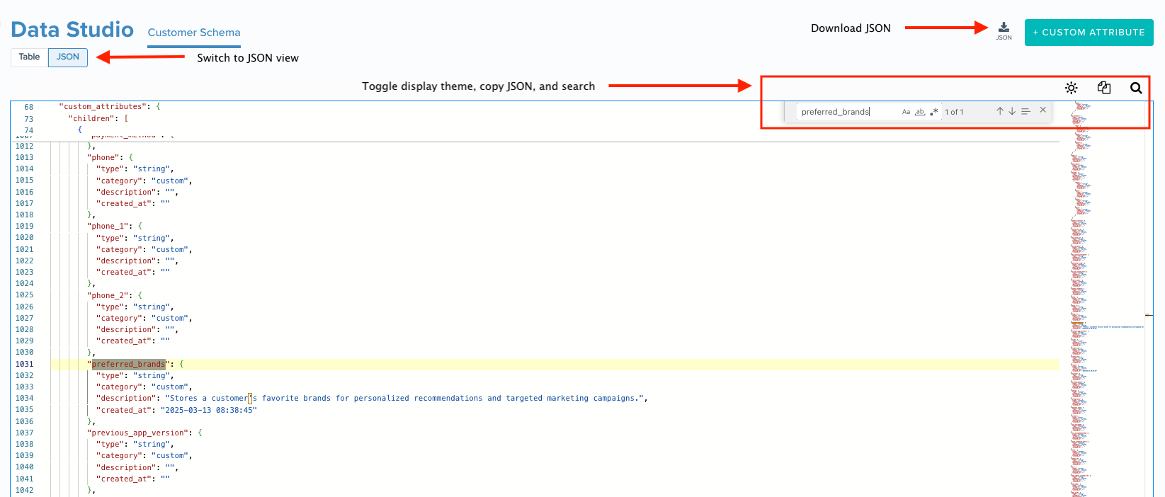 Data-Studio-JSON-View.png